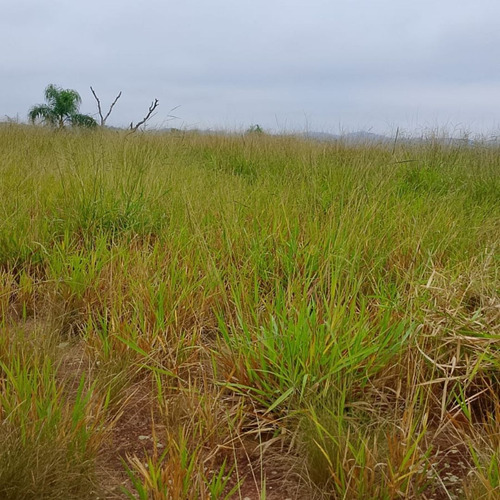 Terreno Em Santa Isabel Sp, Próximo A Igaratá
