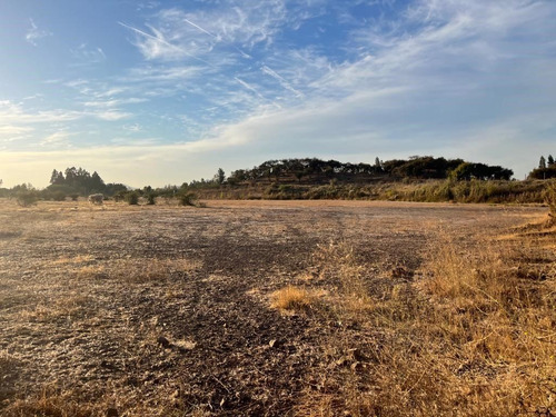Terreno Industrial En Venta En Curicó; Secto Montaña De Teno