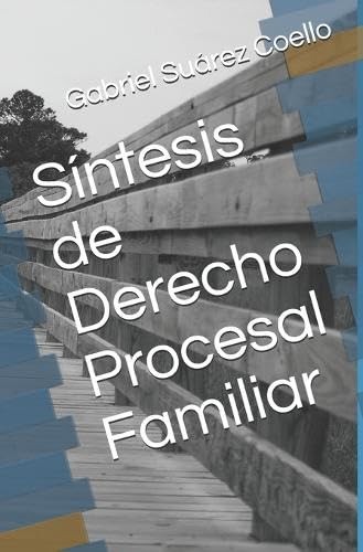 Síntesis De Derecho Procesal Familiar (edición En Español)