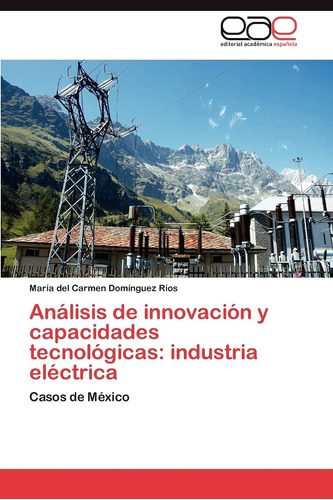 Libro: Análisis De Innovación Y Capacidades Tecnológicas: In