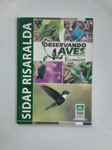 Observando Aves En Áreas Protegidas De Risaralda 