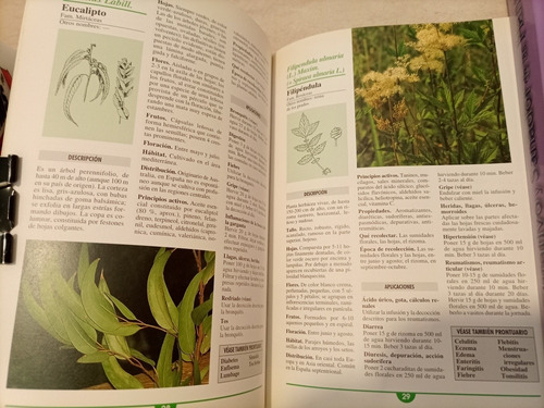 El Poder Curativo Y Sanador De Las Plantas Más Uno Afín. (Usado)