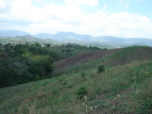 Finca En San Cristobal De 1370 Tareas Con Oro Tasada En 2 Millones Recibimos Permutas