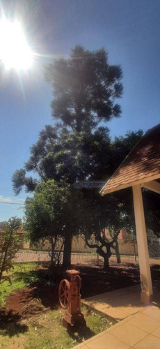 Imagem 4 de 30 de Casa À Venda, 260 M² Por R$ 890.000,00 - Campo Belo - Londrina/pr - Ca2492
