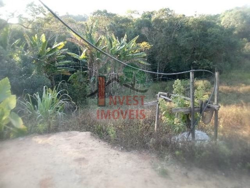 Imagem 7 de 15 de Chacara - Ref: 4826 - V-4826
