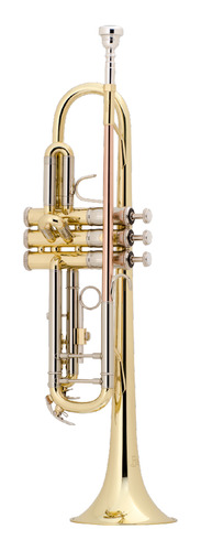 Trompeta Para Estudiante Bach Tr500dir