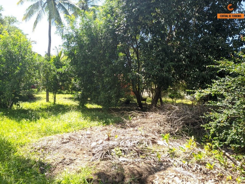 Imagem 9 de 12 de Terreno Em Lauro De Freitas - Te00363 - 68525992