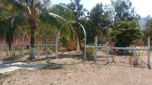 Imagen 10 de 15 de Terreno Con Bienechurias En Yagua, Guacara 04127407774 (att-137)