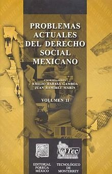 Libro Problemas Actuales Del Derecho Social Mexican Original