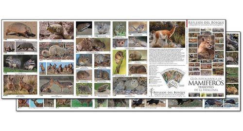 Colección Entera 9 Guías Fotog. De Naturaleza De La Patag.