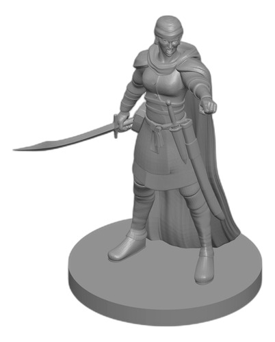 Miniaturas Dnd: Bandit Captain Female