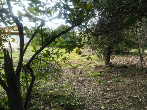 Imagen 6 de 12 de Se Vende Terreno Comercial Quinta Tilcoco