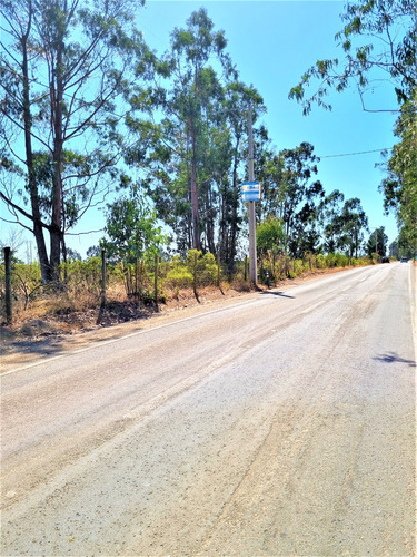 Parcela En Tunquen Excelente Ubicacion.