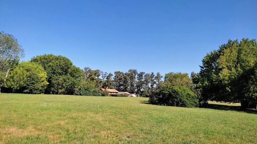Imagen 24 de 30 de Gran Lote De 7,2ha En Venta Con Casas Quintas En Loma Verde,
