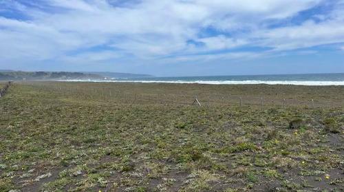 Sitios 5.000m2, Prim. Y Seg. Linea En Tregualemu, Pelluhue