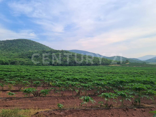 Venta Rancho Los Asmoles Colima