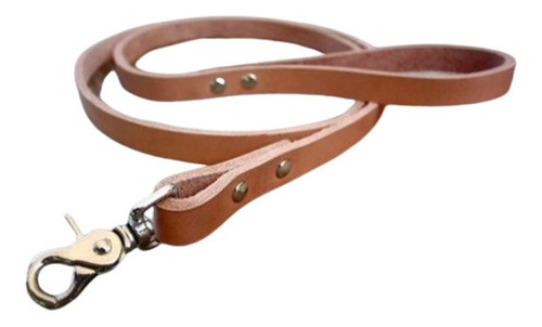 Paseador De Cuero Para Perros 1cmx100cm