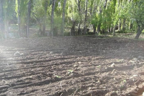 Imagen 18 de 22 de Campo Chubut (chacra) - 27 Hectáreas