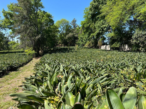 Terreno El Acueducto