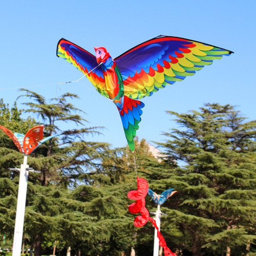 3d P-arrot K-ite Kids Toy Outdoor Flying Activity Game Child