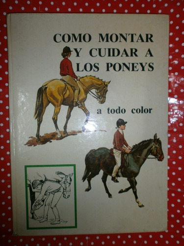 Cómo Montar Y Cuidar A Los Poneys A Todo Color Ponys Froud