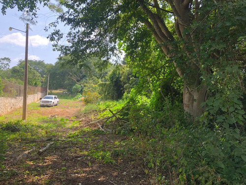 Terreno En Venta En Don Ventura
