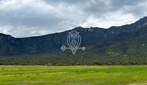 Excelente Sitio En Santa Rita De Pirque