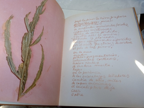 Oda A Las Flores De Datitla Pablo Neruda (Usado)
