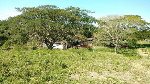 Vendo Rancho Ganadero 223 Hectáreas Temapache Veracruz