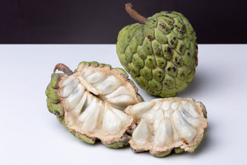 Planta Fruto De Conde