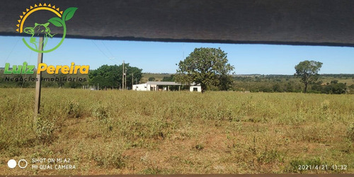 Imagem 1 de 5 de Fazenda À Venda Em Sta, Rita Do Pardo - Ms - De 130.16 Alqueires (pecuária) - 1702
