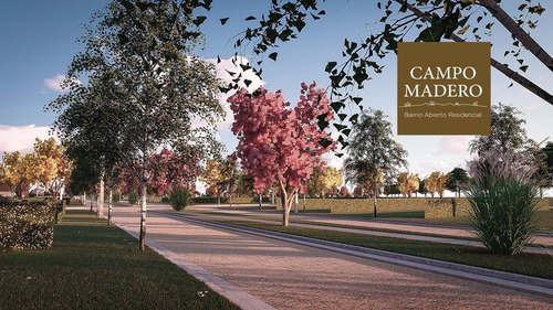 Imagen 2 de 4 de Terreno Campo Madero - Ibarlucea - 300m2