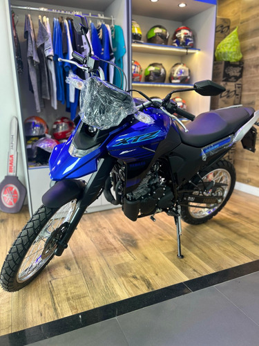 Lander 250 Abs 2025 Pronta Entrega (vend Erick)