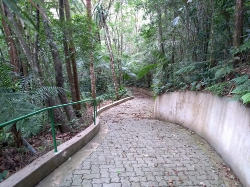 Imagem 26 de 30 de Sítio Alto Padrão Com Linda Vista Panorâmica - 64 - 33682306