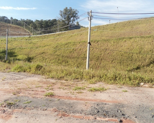 Imagem 6 de 16 de Terreno Para Comercio; - 319 - 32982591