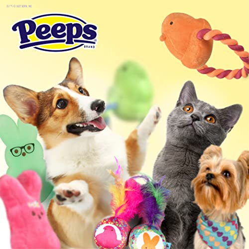 12 Conejitos Con Patrón De Juguetes Para Mascotas Squeaker