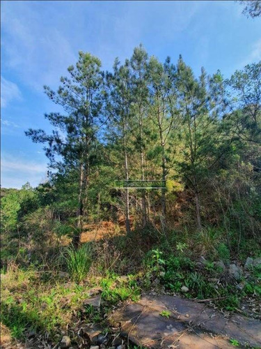 Área À Venda, 15600 M² Por R$ 160.000,00 - Centro - Parai/rs - Ar0011