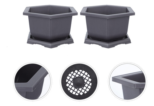 Maceta Hexagonal Suculent Planters
