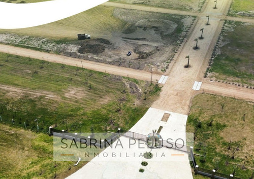 Venta Terreno Plomer Barrio Cerrado