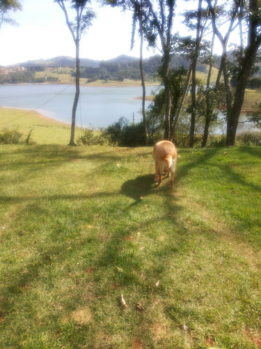 Chácara Com Vista Para Represa Oportunidade Vendo Ou Alugo