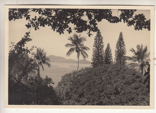 1949  Fotografia Real Vista Isla Paqueta Rio De Janeiro (15)