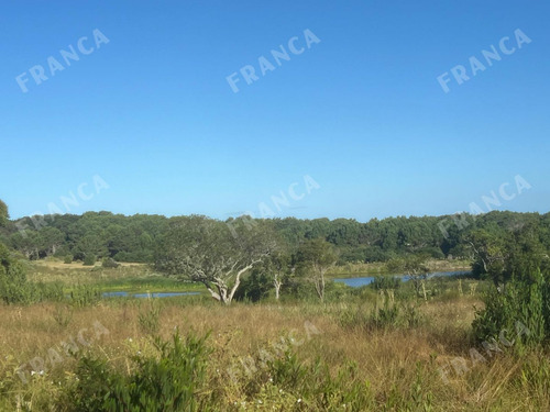 Amplios Lotes En Venta En Arenas De José Ignacio. (ref: Fro-868)