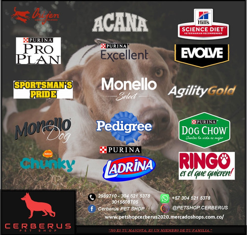 Dog Chow Salud 5 Estrellas Adultos Todos Los Tamaños 22,7 Kg