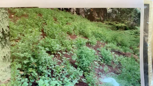 Finca En Venta En Dapa. Cod V11668