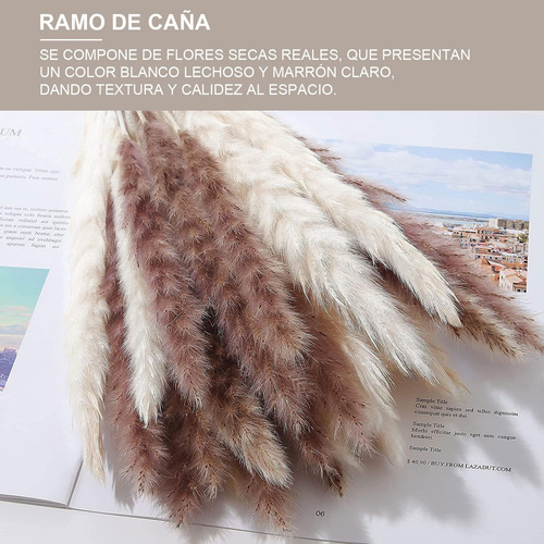 Hi, 100 Pcs Pampas Secas Plantas Decorativas Flores