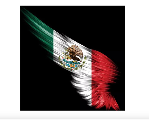Cuadro Canvas Ala Bandera De México 70x70 Bastidor