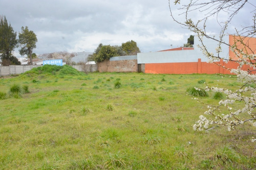 Terreno, La Mejor Ubicación, Usos Inmobiliarios Múltiples.