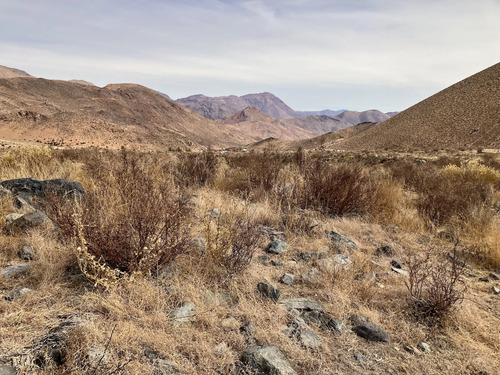 Terreno En Valle Del Elqui Ruta Antakari
