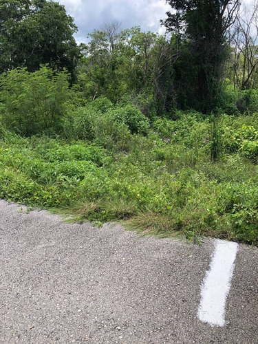 Imagen 20 de 21 de Terreno Sobre Carretera Cercano A Cervecería Vocación Indust