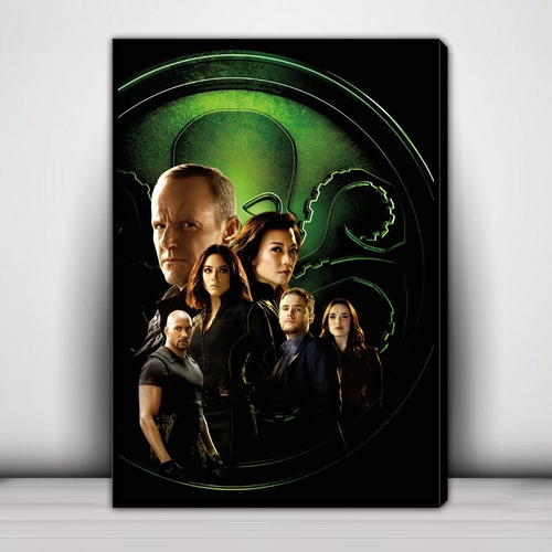 Cuadro Decorativo Agents Of Shield C229